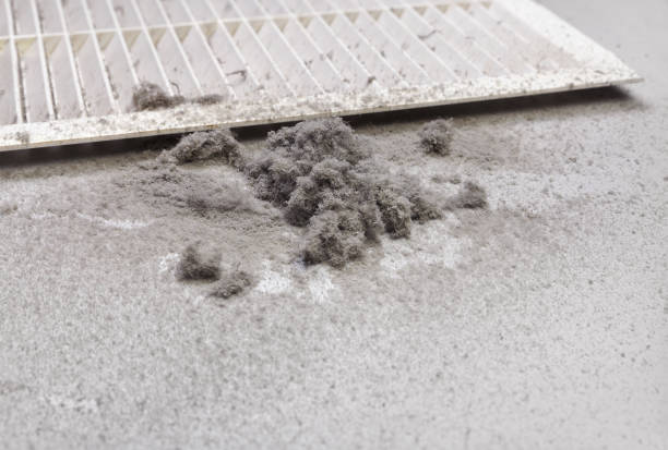 Air Duct Mold Removal in Breese, IL