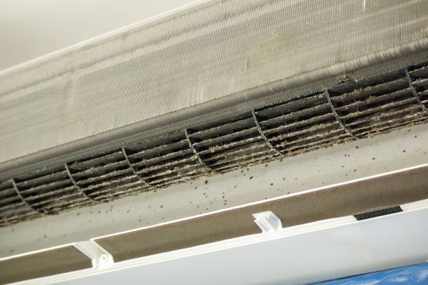 Best Emergency Air Duct Cleaning  in Breese, IL